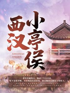 赵启明解忧静安公主小说叫什么（西汉小亭侯完整版免费阅读）