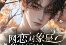 《网恋对象是我的顶头上司怎么办》小说章节列表免费试读,夏小果小说在线阅读-推书机