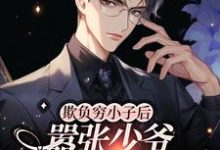 完结版《欺负穷小子后,嚣张少爷他破产了》免费阅读-推书机