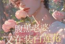 腹黑老婆又在装白莲花撩张总了这本小说怎么样?免费在线阅读试试-推书机
