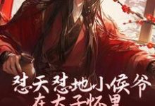 怼天怼地小侯爷在太子怀里装柔弱小说的无弹窗阅读体验,寻找免费阅读网站-推书机