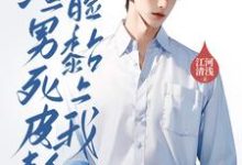 小说《离婚后,渣男死皮赖脸黏上我》章节免费阅读-推书机