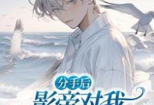 完结版《分手后,影帝对我高调示爱》免费阅读-推书机
