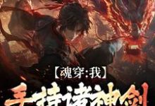 小说《魂穿:我手持诸神剑,踏平九重天》在线章节阅读-推书机