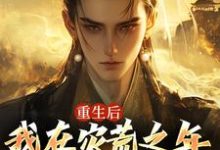 重生后,我在灾荒之年逆袭人生完整版小说,重生后,我在灾荒之年逆袭人生叶飞何秀秀-推书机