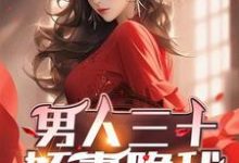 已完结小说《男人三十:娇妻隐秘》章节免费阅读-推书机