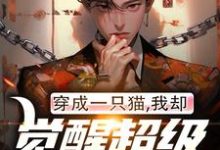 穿成一只猫,我却觉醒超级军工系统完整版最新章节,穿成一只猫,我却觉醒超级军工系统章节在线阅读-推书机
