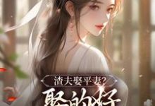 完结版《渣夫娶平妻?娶的好,下次别再娶了》章节目录在线阅读-推书机