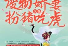 战王接嫁：废物娇妻又在扮猪吃虎免费阅读，战王接嫁：废物娇妻又在扮猪吃虎席然阎恒-推书机