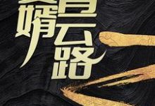 哪里可以免费找到赘婿青云路？-推书机