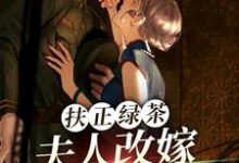 完结版《扶正绿茶？夫人改嫁少帅你哭什么》章节阅读-推书机