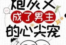 快穿:炮灰又成了男主的心尖宠小说完结了吗?在哪里可以免费读到?-推书机