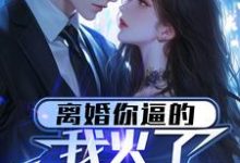 离婚你逼的,我火了你哭什么?李琦娟子,离婚你逼的,我火了你哭什么?完整版最新章节-推书机