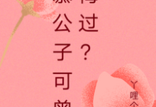 完结版《慕公子可曾悔过?》在线免费阅读-推书机