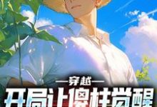 张峰傻柱小说穿越:开局让傻柱觉醒,不做舔狗在线阅读章节-推书机