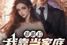 辞职后,我靠当家庭煮夫暴富了完整版小说,辞职后,我靠当家庭煮夫暴富了免费阅读-推书机