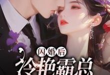 耿迟渊秦慕瑶小说闪婚后,冷艳霸总宠妻无度在线阅读章节-推书机