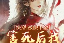 快穿:被假千金害死后我无限闯关小说有没有完结版在线?-推书机
