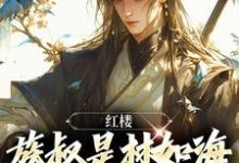 完结版《红楼：族叔是林如海，在线当大佬》在线免费阅读-推书机