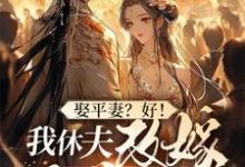 娶平妻?好!我休夫改嫁王爷给你看姜芸涵,娶平妻?好!我休夫改嫁王爷给你看章节在线阅读-推书机