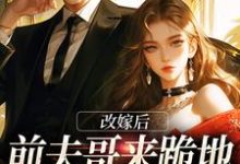 改嫁后,前夫哥来跪地痛哭求原谅这本小说完结了吗?免费查看最新章节-推书机