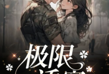 鹿笙季宴小说在线章节免费阅读(极限诱宠无弹窗无删减)-推书机