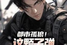都市孤狼!这颗子弹为何如此狂野小说免费资源,都市孤狼!这颗子弹为何如此狂野在线阅读-推书机