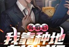 小说《离婚后，我靠种地身价过亿》完整版章节免费阅读-推书机