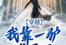徐天娇风止水小说《穿越:我靠一驴成霸主》完整版免费阅读-推书机