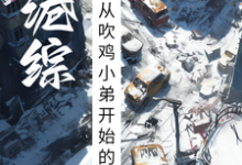港综:从吹鸡小弟开始的称霸之路封琛,港综:从吹鸡小弟开始的称霸之路在线无弹窗阅读-推书机