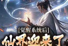 小说完整版《觉醒系统后,仙界迎来了互联网时代》免费阅读-推书机