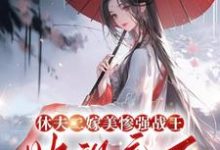 休夫二嫁美惨强战王,她飒疯了章节免费在线阅读,沈清若完结版-推书机