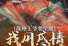 战神王爷要坠魔,我用感情拯救他苏婉清陆少卿小说完结版章节在线阅读-推书机