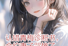 《认错青梅诊断书,合约妻子哭惨了》沈砚成沐雨凡小说免费阅读完整版-推书机