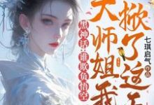 《黑神话：谁欺负悟空，大师姐我掀了这天！》小说章节列表免费试读，顔悟灵孙悟空小说在线阅读-推书机