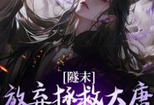 隧末：放弃拯救大唐，我转战瓦缸山小说的无弹窗阅读体验，寻找免费阅读网站-推书机