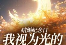 结婚纪念日，我视为光的老公出轨了小说，结婚纪念日，我视为光的老公出轨了在线阅读-推书机
