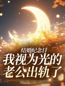结婚纪念日，我视为光的老公出轨了小说，结婚纪念日，我视为光的老公出轨了在线阅读