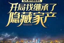 已完结小说《医婿崛起:开局我继承了隐藏家产》章节在线阅读-推书机