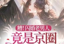 完整版《糟！闪婚老男人竟是京圈太子爷》小说免费阅读-推书机