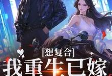 已完结小说《想复合?我重生已嫁超级豪门》在线章节阅读-推书机