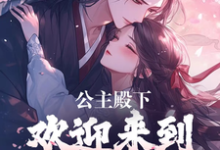 公主殿下,欢迎来到八零年代小说无弹窗阅读的网站推荐-推书机