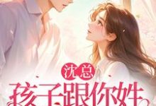 免费看沈总,孩子跟你姓,谁的你别管小说的网站有哪些?-推书机