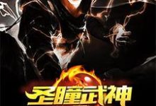 都市圣瞳武神小说,都市圣瞳武神在线阅读-推书机
