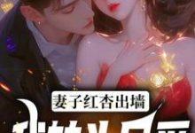 寻找能够免费阅读妻子红杏出墙，我转头另爱小说的平台-推书机