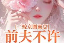 二嫁京圈霸总，前夫不许来捣乱完整版小说免费阅读，二嫁京圈霸总，前夫不许来捣乱小说-推书机