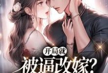 开局就被逼改嫁?我转身去寻夫小说有没有完结版在线?-推书机
