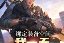 完结版《绑定装备空间，我一天剿灭匪寇》章节阅读-推书机