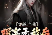 穿越:当我探案无敌后,身份被爆了小说的免费阅读版本在哪里可以找到?-推书机