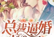 总裁逼婚100次（商臻封行焱）完整版在线免费阅读-推书机
